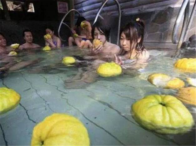 h文,调教的相关介绍