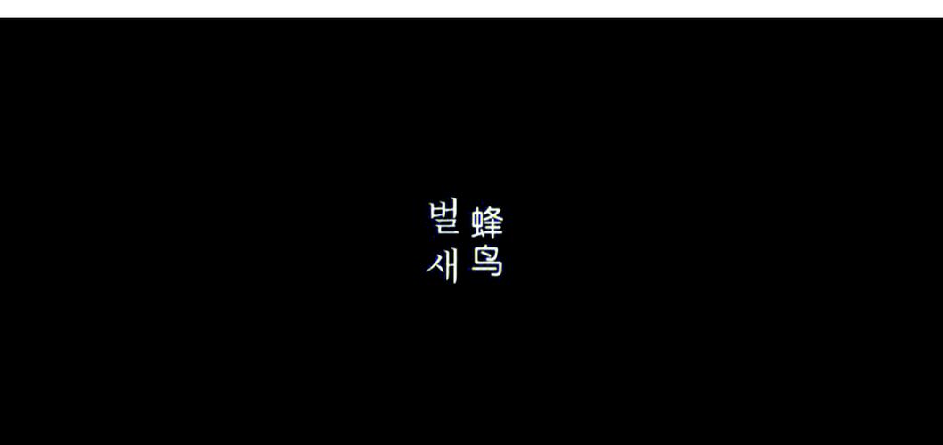 色色影院的相关介绍