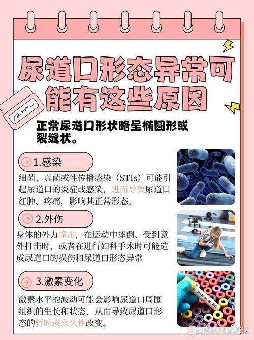 哈尔滨电影院的相关介绍