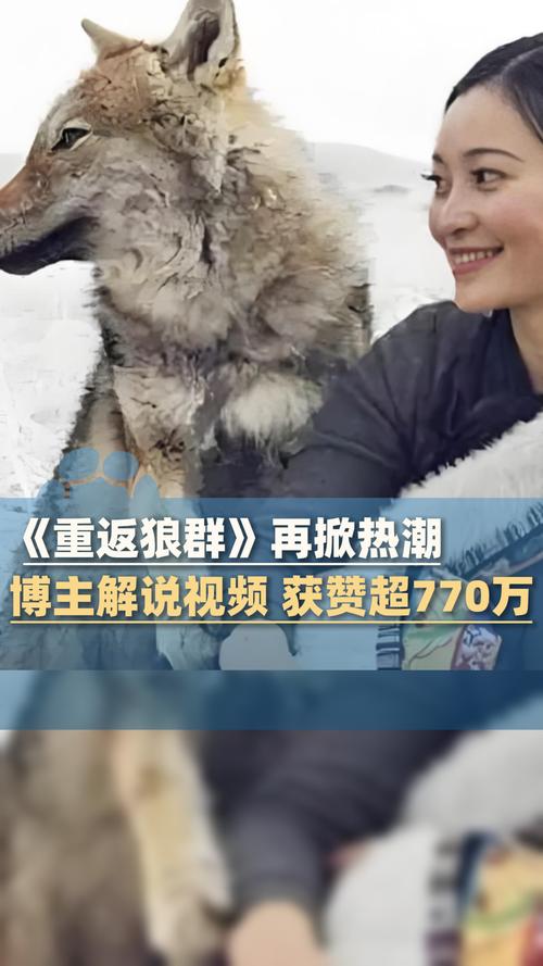 中国丰满熟妇高清xxxx的相关介绍