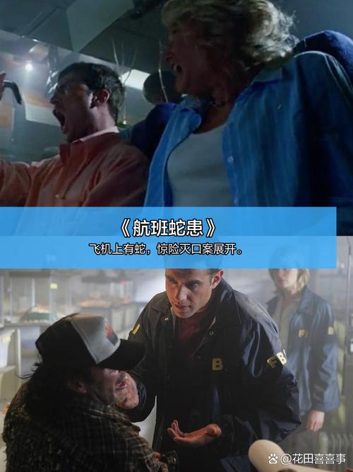 大陆熟女熟妇av的相关介绍