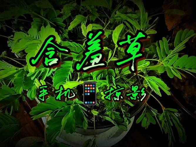 美女老师让我爽的视频的相关介绍