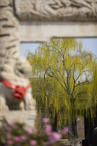 光棍福利影院高清视频 - 单身专属福利影院 | 高清画质 | 免费在线观看