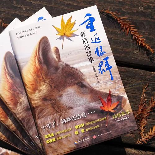 夜恋影院全部表us：2025最新高清影视资源合集与长尾关键词优化指南
