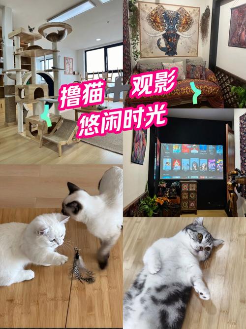 3d动漫操穴的相关介绍