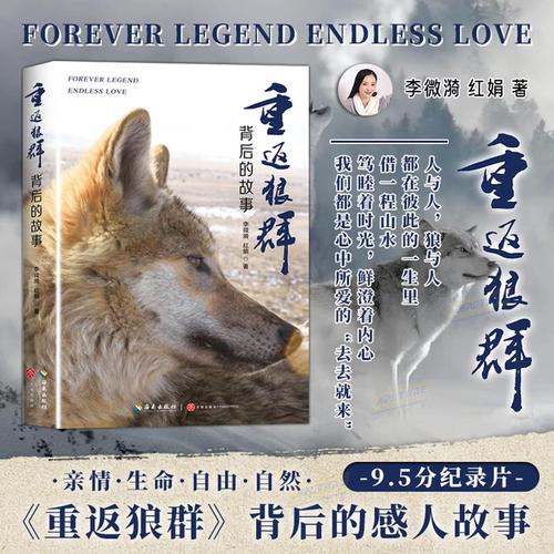 天使影院在线观看 - 最新电影高清免费资源 热播电视剧全集 无广告流畅播放平台