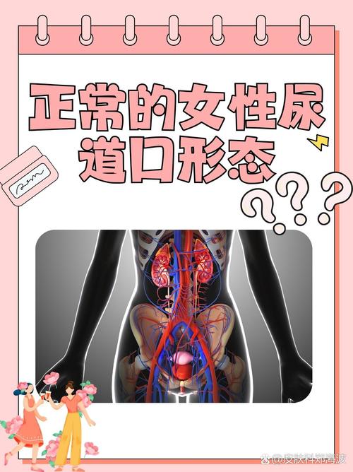 第九影院怎么更新呢的相关介绍