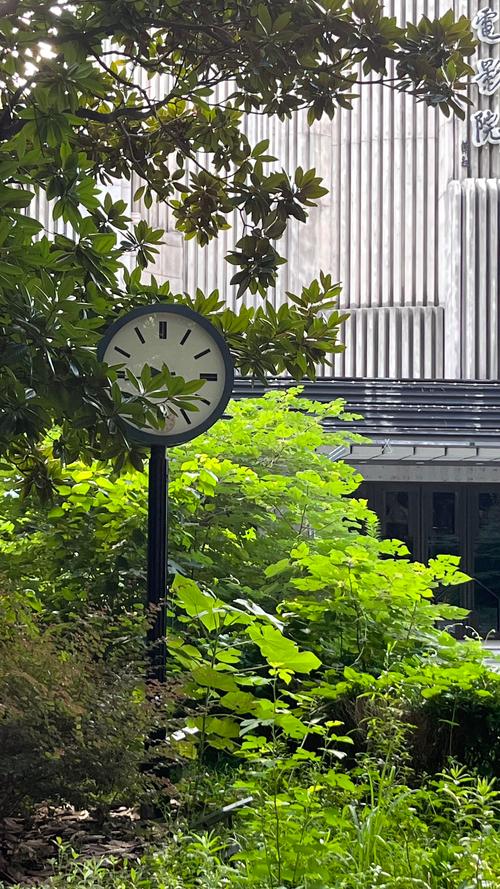 忘忧草影院日本在线观看高清资源，日本电影追剧推荐与最新动漫排行
